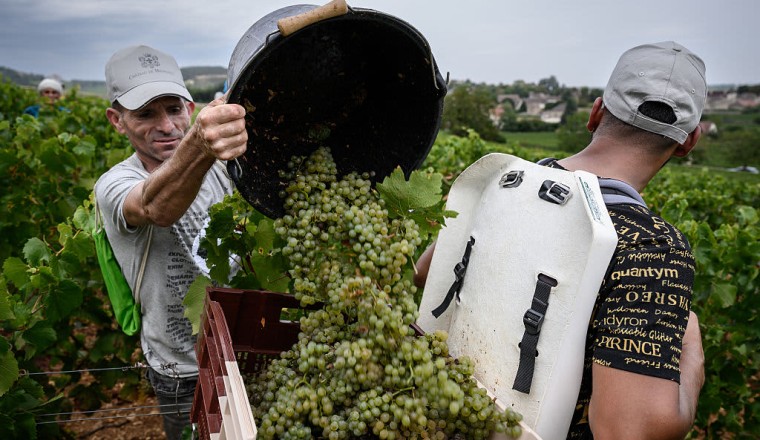 Champagne sales surge at New Year — but labor abuses and tariffs have clouded the industry