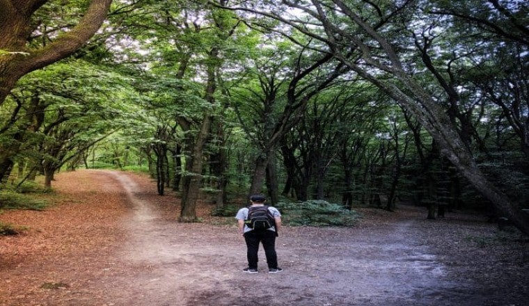 Crossroads | Career Angles