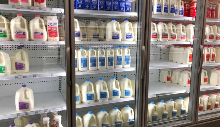 Fluid milk makes a comeback