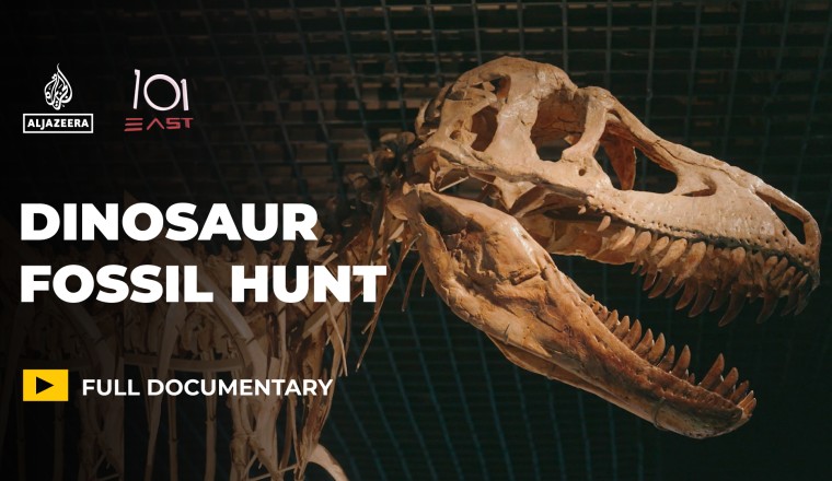 Dinosaurs for sale: Is the global fossil market harming science?