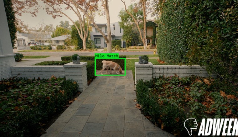 Super Bowl Hot Take: Ring Finds Lost Dogs, But Its Ad Loses the Plot