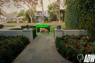 Super Bowl Hot Take: Ring Finds Lost Dogs, But Its Ad Loses the Plot
