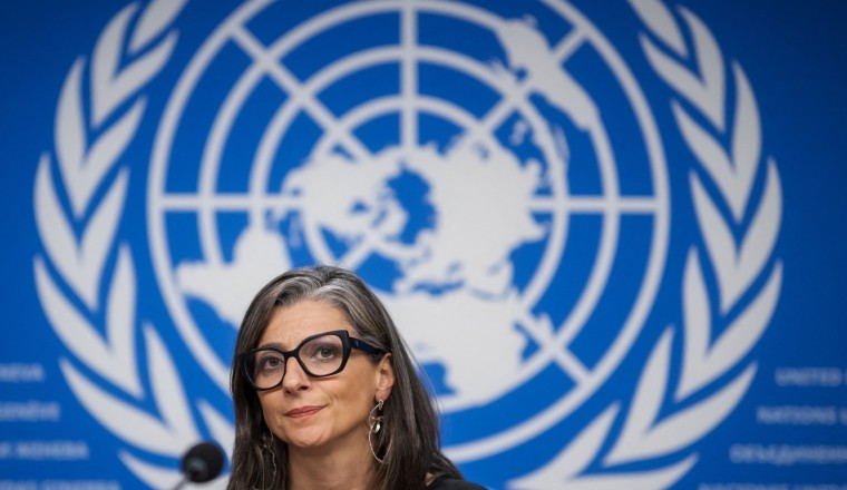 Over 100 artists for Palestine back UN’s Albanese after resignation calls