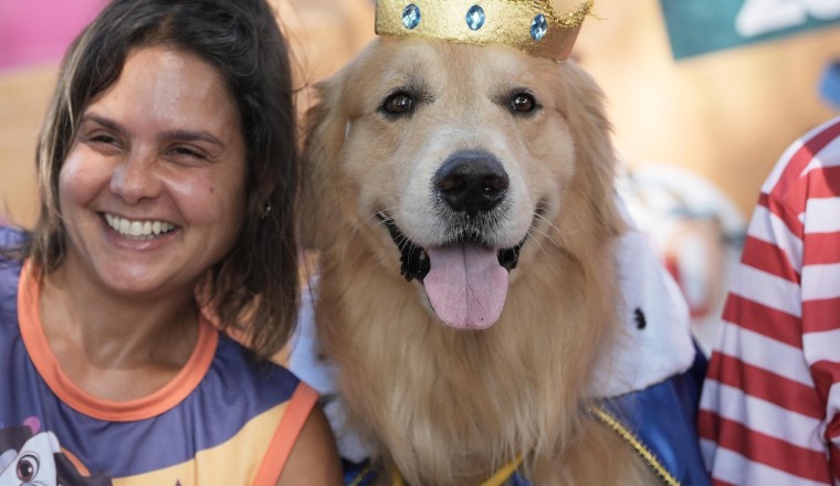 Rio Carnival street party dogs parade as humans protest against pet killers