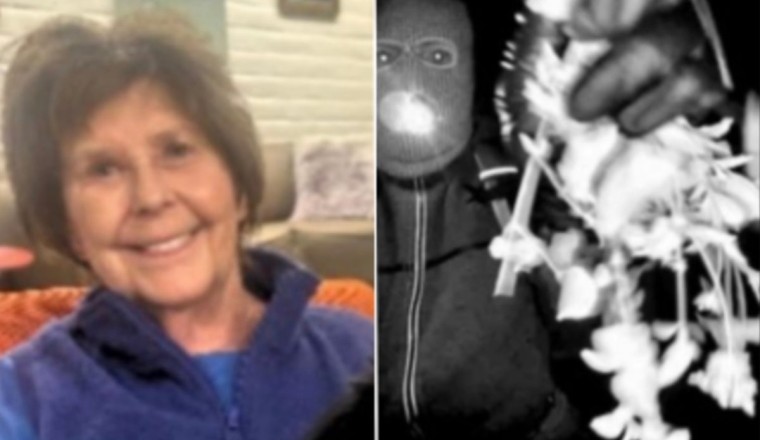 Sheriff pushes back on report Nancy Guthrie abduction was linked to botched burglary
