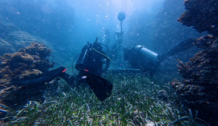 How underwater speakers are helping revive coral reefs devastated by climate change