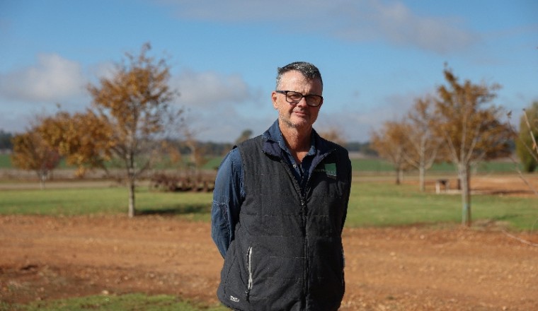 Australia's farmers, hit by Iran war costs and dry weather, grow less wheat
