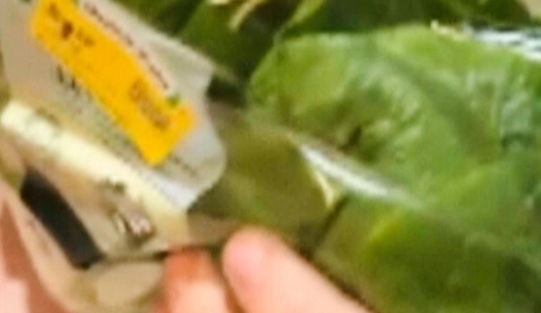 Lettuce introduce you to the live frog found in this grocery store salad bag
