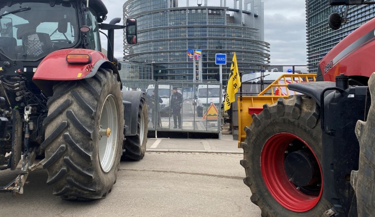 How badly is Europe affected by fertiliser shortages due to the Iran war?