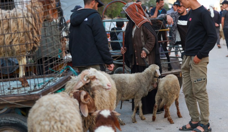 ‘No livestock but still hope’: Palestinians prepare for Eid al-Adha in Gaza