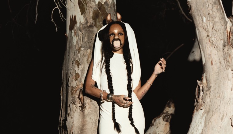 HorsegiirL – ‘Nature Is Healing’ review: divine equine dance bangers that balance humour with heart